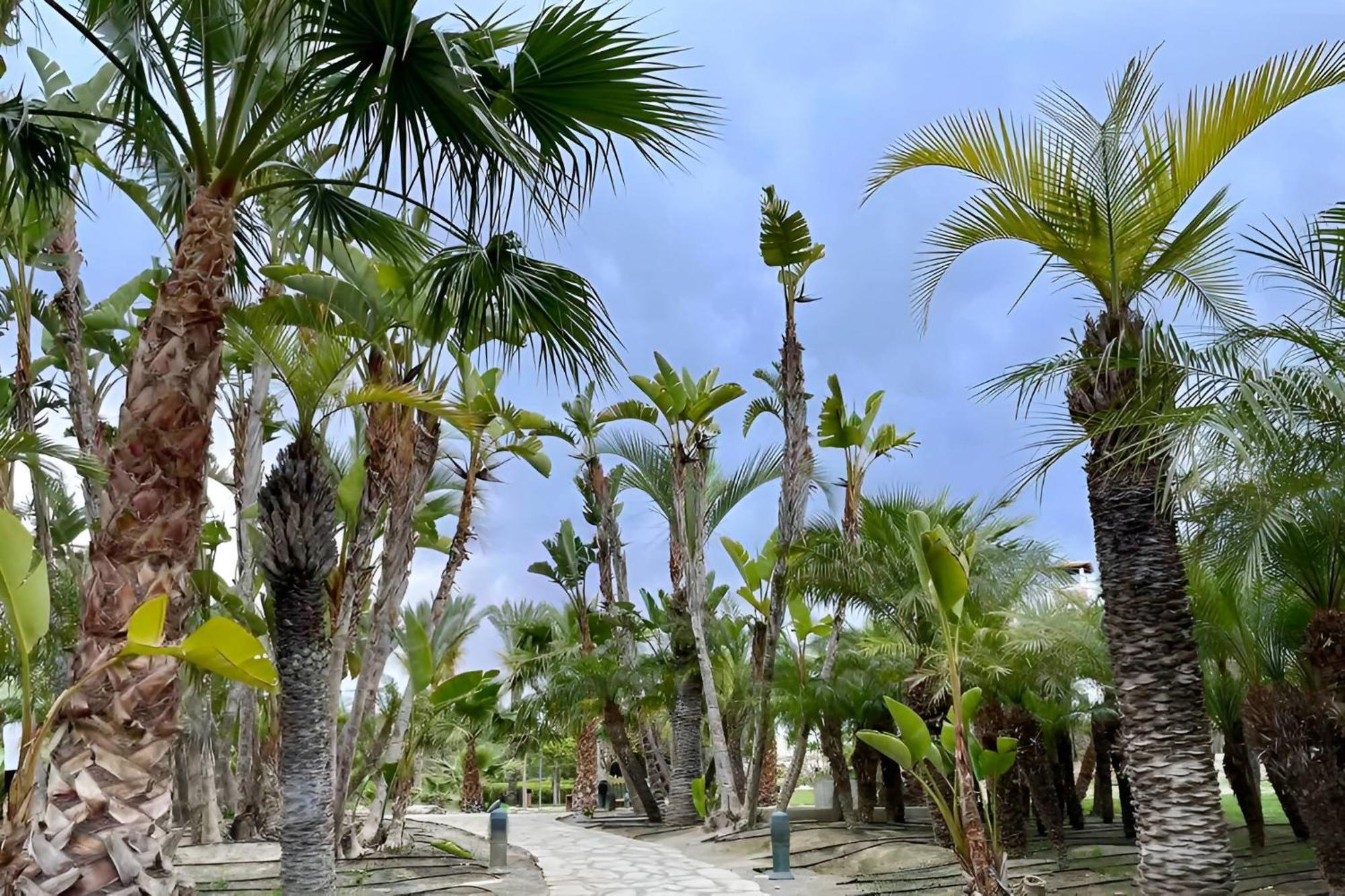 Hestia Vera Salinas Tu Hogar Para Desconectar Playas de Vera Εξωτερικό φωτογραφία